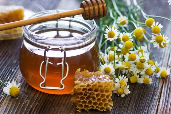 خرید عسل آفتابگردان از زنبور دار + قیمت عمده