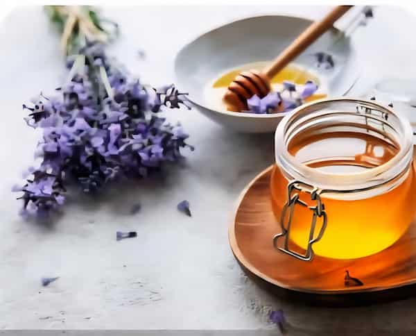 قیمت امروز عسل اکالیپتوس + خرید تضمینی 3