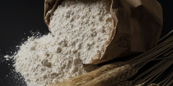 پودر جوانه گندم خالص برای صادرات
