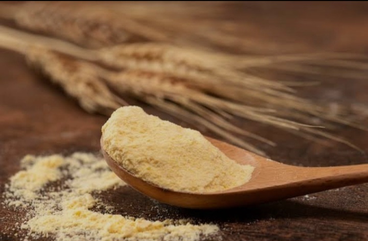 پودر جوانه گندم خالص برای صادرات 4
