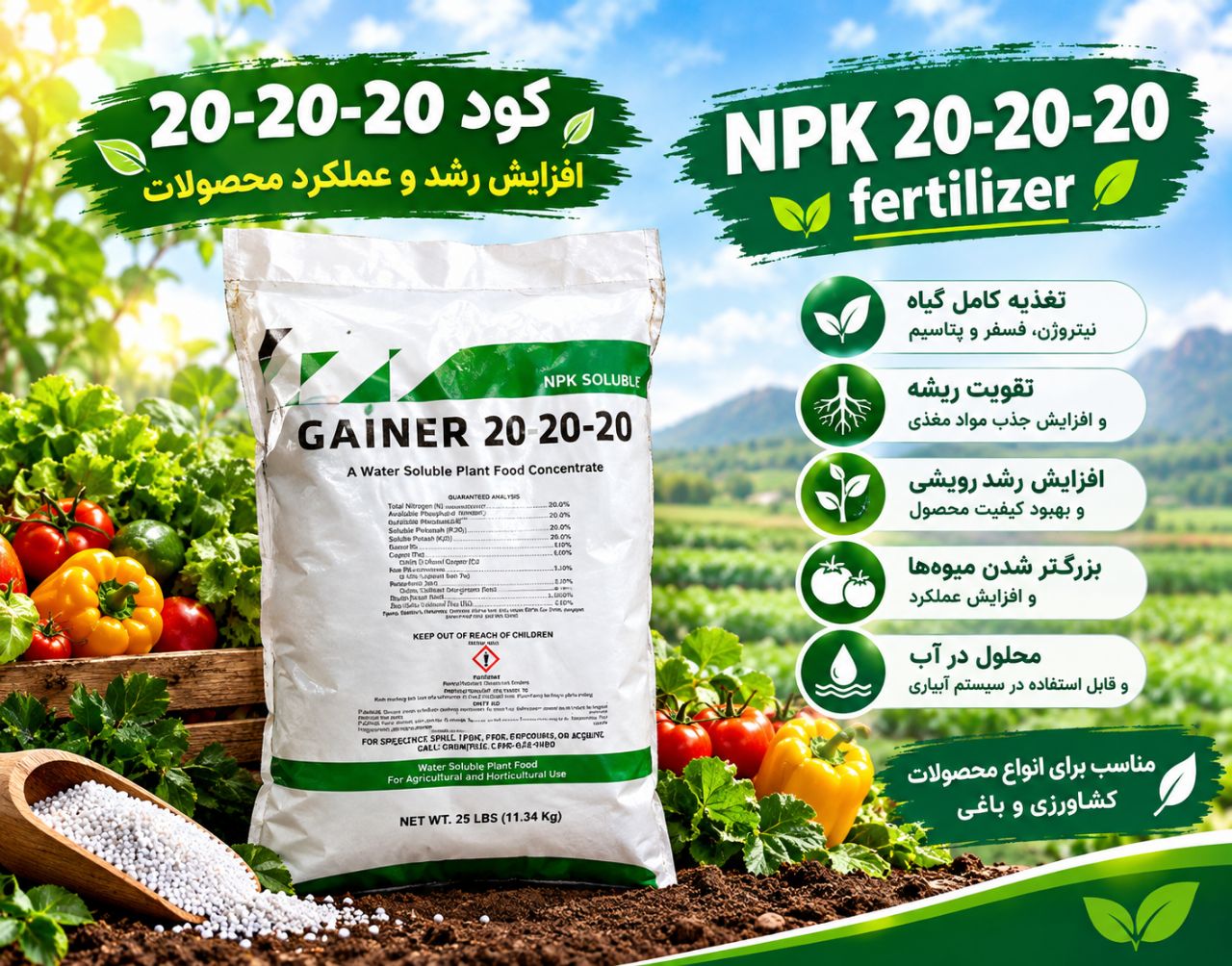کود 202020 تبریز به قیمت رقابتی