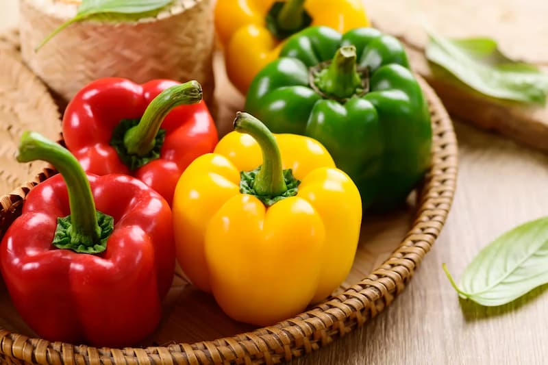 قیمت و شرایط خرید فلفل دلمهای صادراتی قرمز، زرد و نارنجی