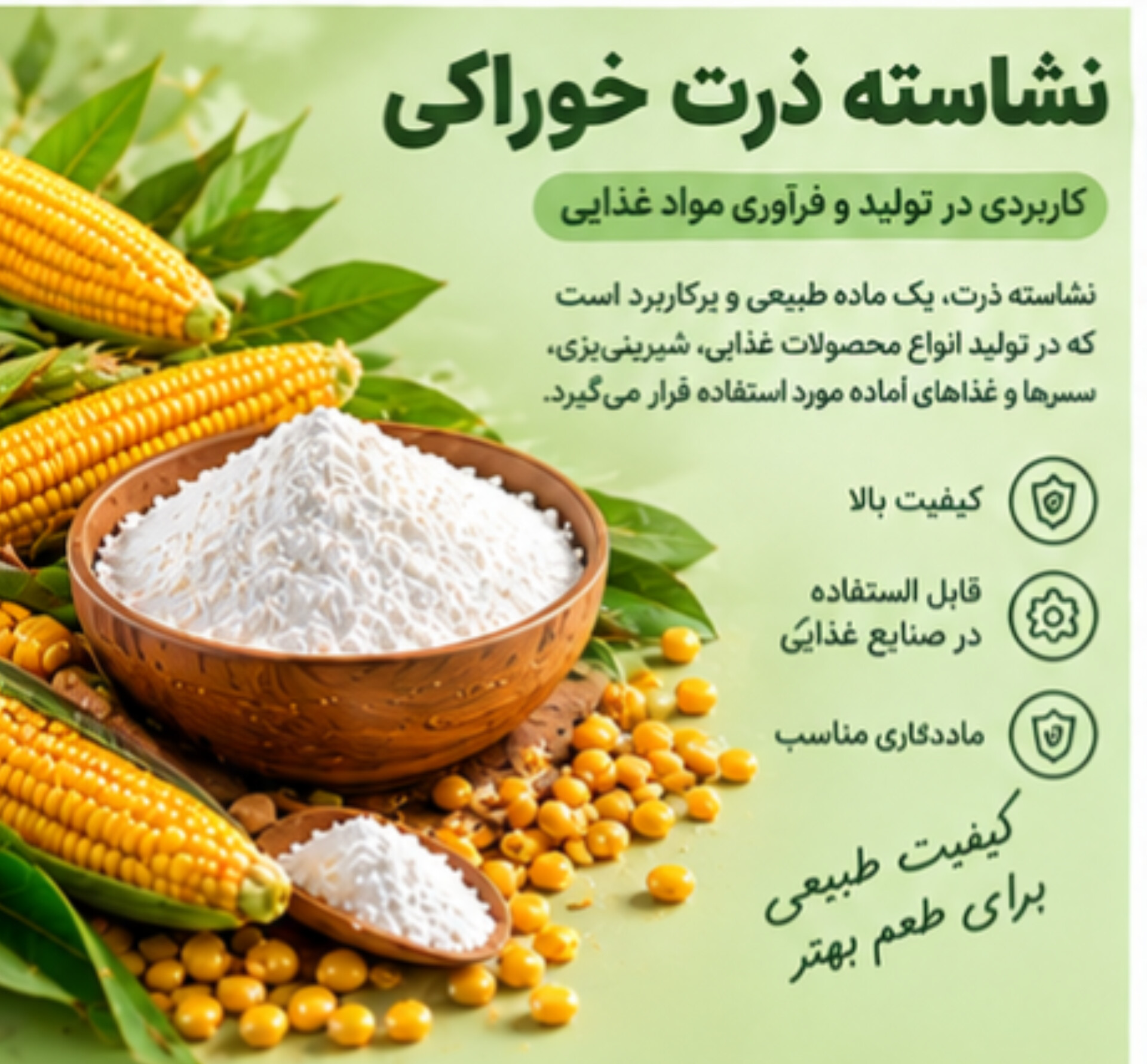 نشاسته ذرت خوراکی | کاربردی در تولید و فرآوری مواد غذایی