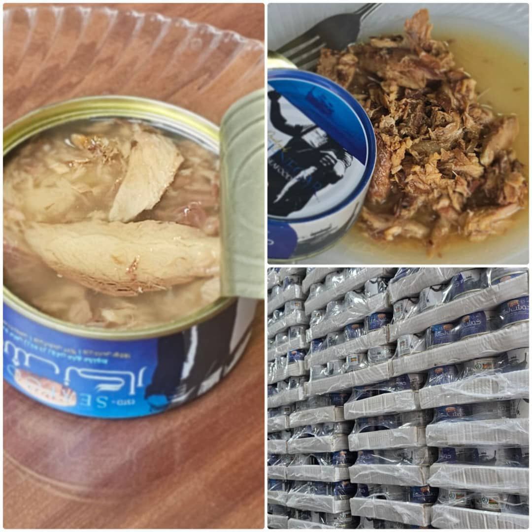 فروش عمده کنسرو ماهی خوش نگار آبی