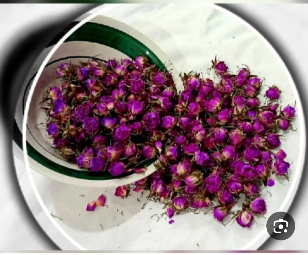 راهنمای خرید غنچه گل محمدی با کیفیت و خوش عطر