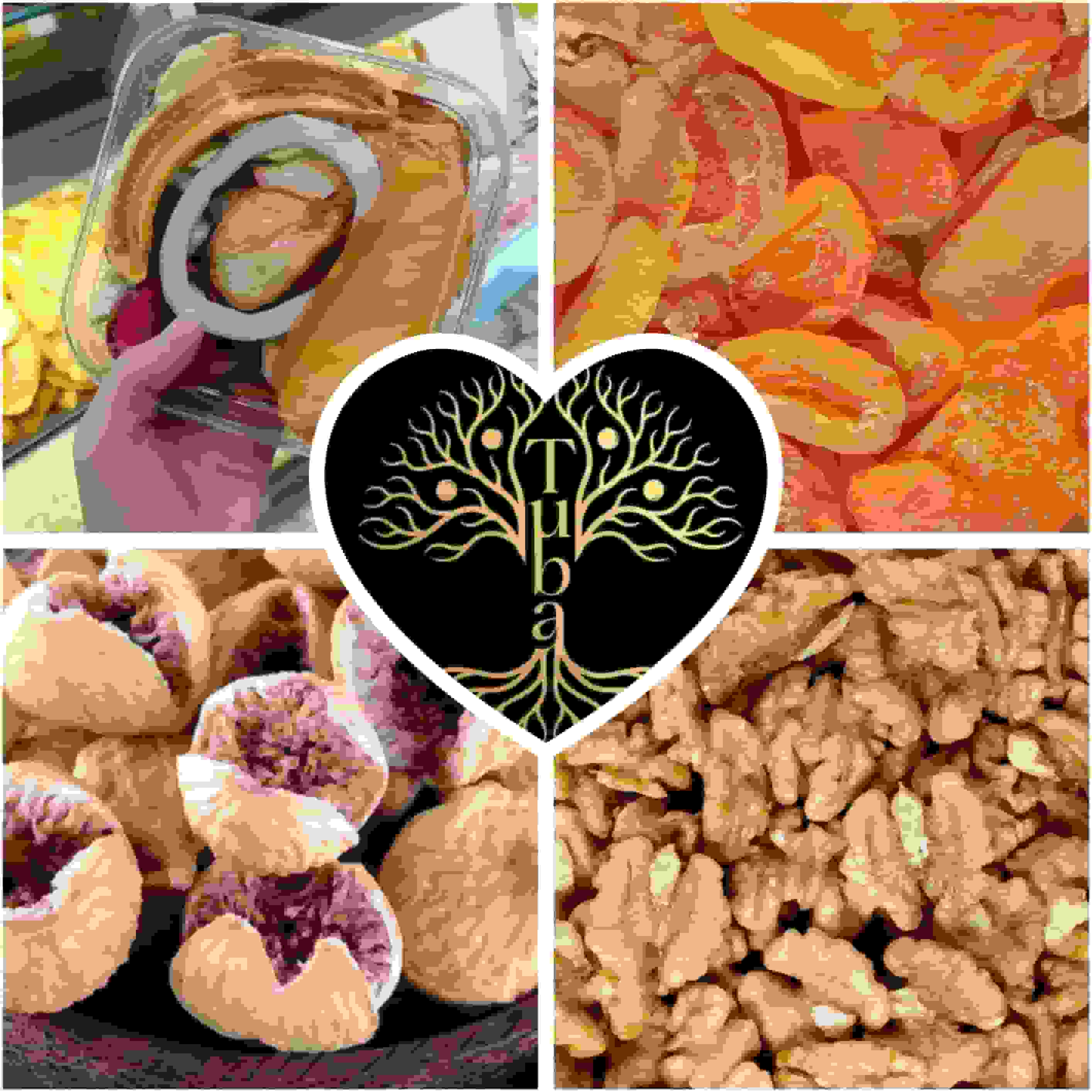 خرید میوه خشک با کیفیت صادراتی 2
