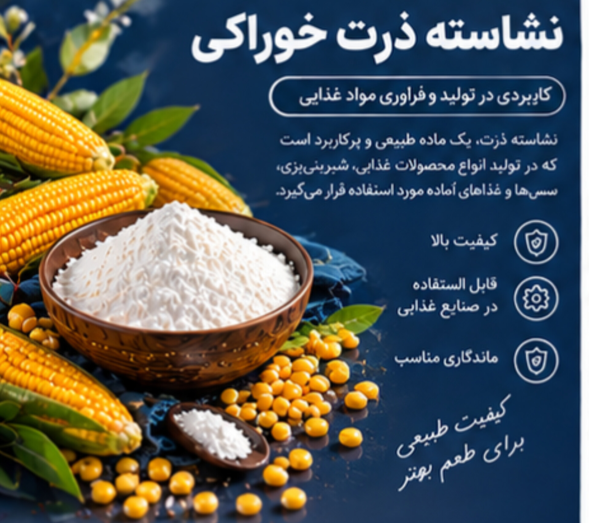 نشاسته ذرت | پودر نشاسته خوراکی برای مصارف تولیدی