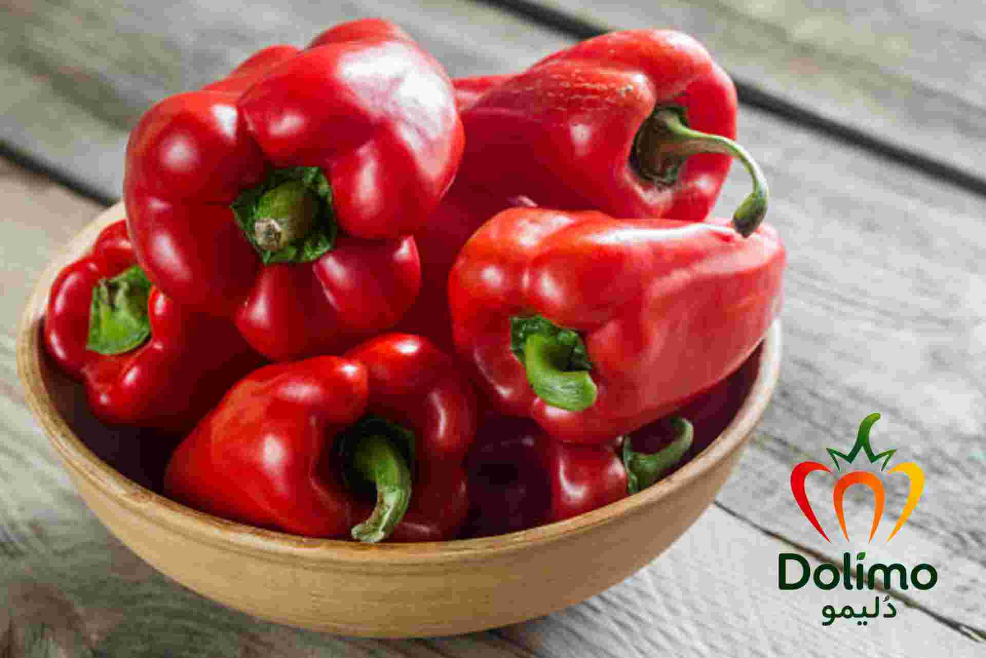خرید فلفل دلمه ای قرمز برای بازار عمده و صادرات