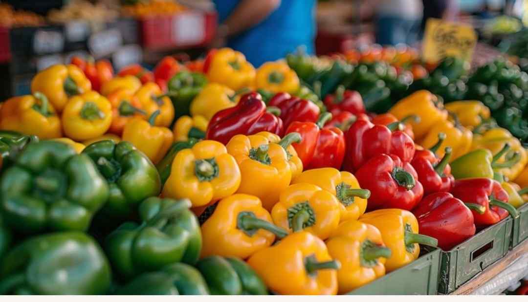 فلفل دلمه ای رنگی گلخانه ای؛ بررسی کیفیت و شرایط خرید 3