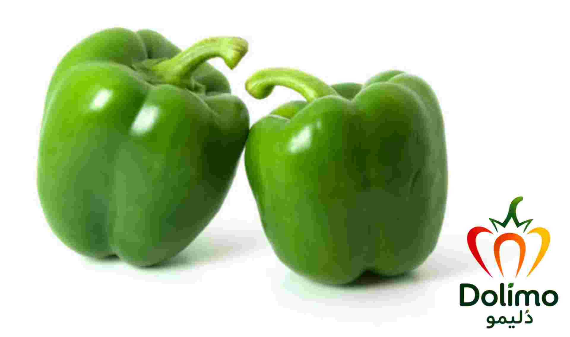 قیمت عمده فلفل دلمه ای سبز و شرایط تأمین بار 3