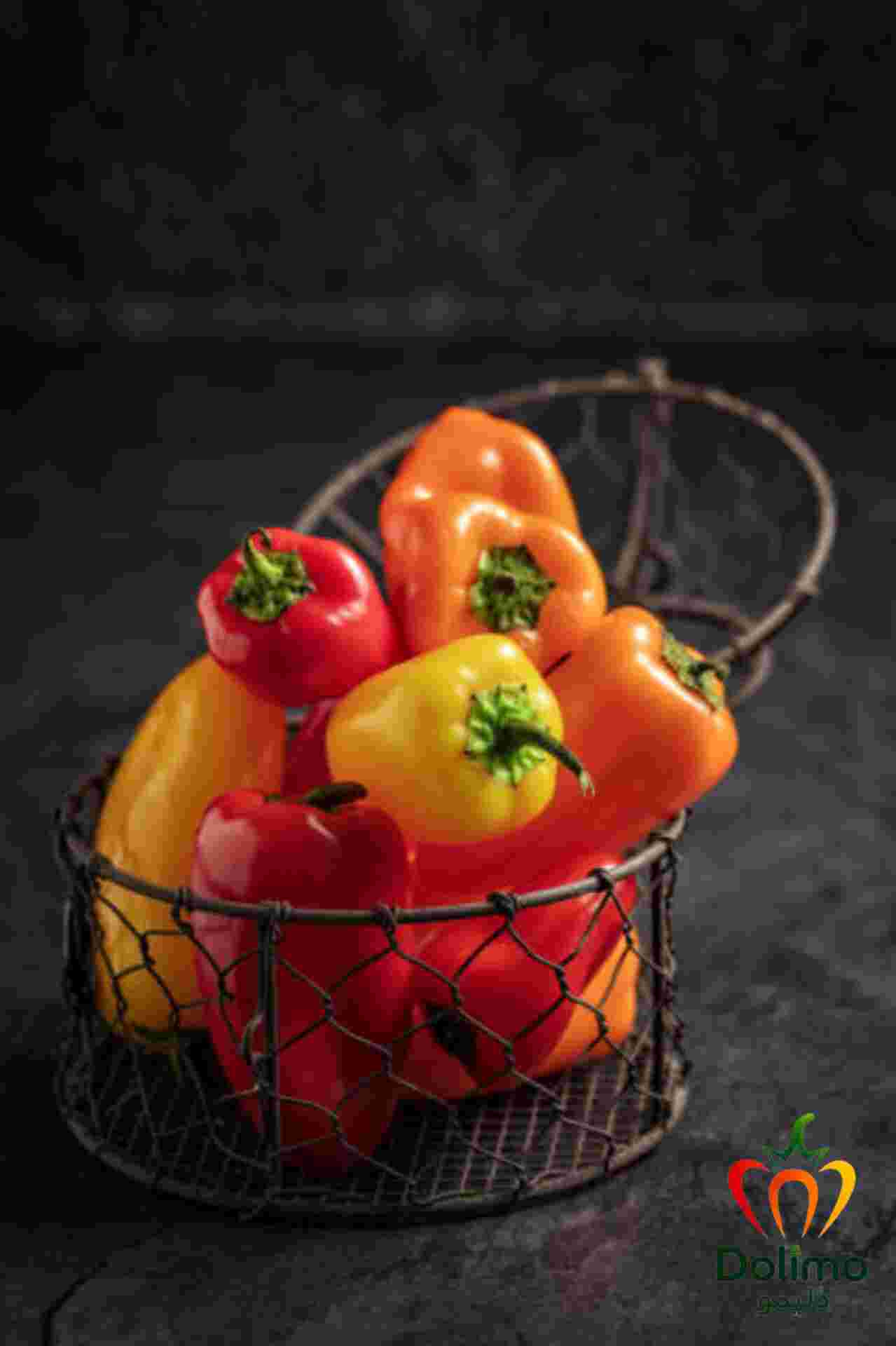 قیمت روز فلفل دلمه ای رنگی گلخانه ای 2
