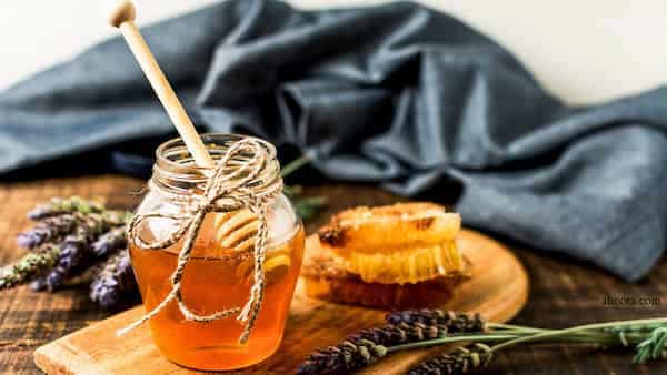 فروش عسل خار مریم + قیمت خرید به صرفه