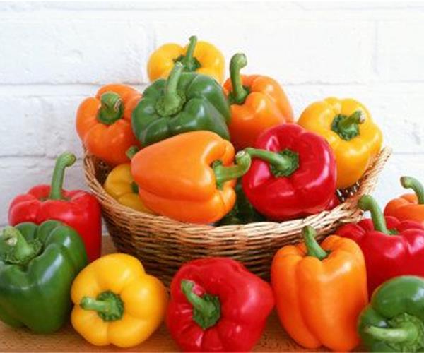 فلفل دلمه‌ای رنگی درجه یک؛ انتخاب مناسب برای خرید عمده