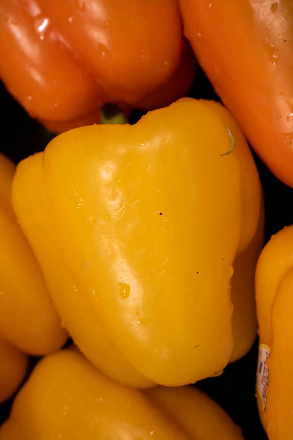 فلفل دلمه‌ای نارنجی تازه؛ مناسب پخش عمده و بازارهای داخلی 2