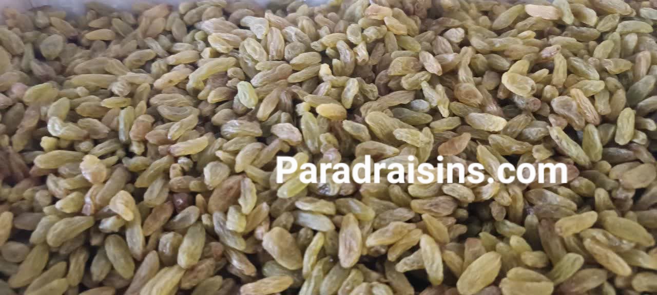 خرید کشمش سبز کاشمر +  هدیه زمین