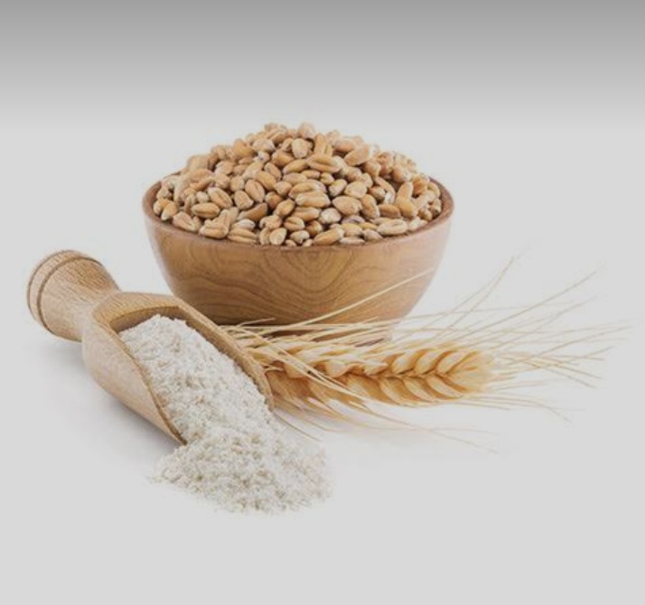 خرید پودر جوانه گندم خالص 4