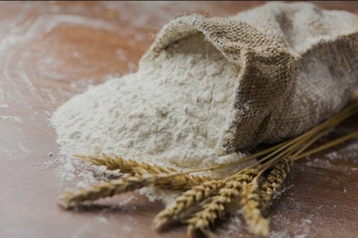 خرید پودر جوانه گندم خالص 5