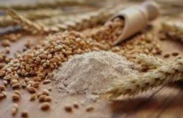 انتخاب تأمین‌کننده پودر جوانه گندم 5