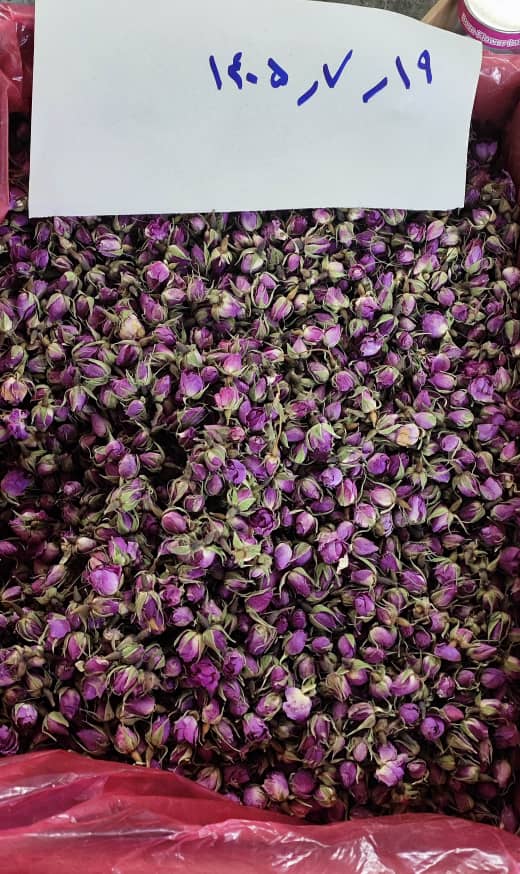 خرید و فروش غنچه گل محمدی خشک 2