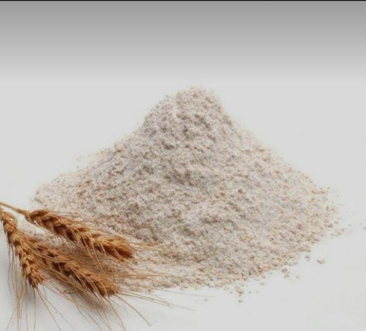 پودر جوانه گندم خالص برای صادرات 5