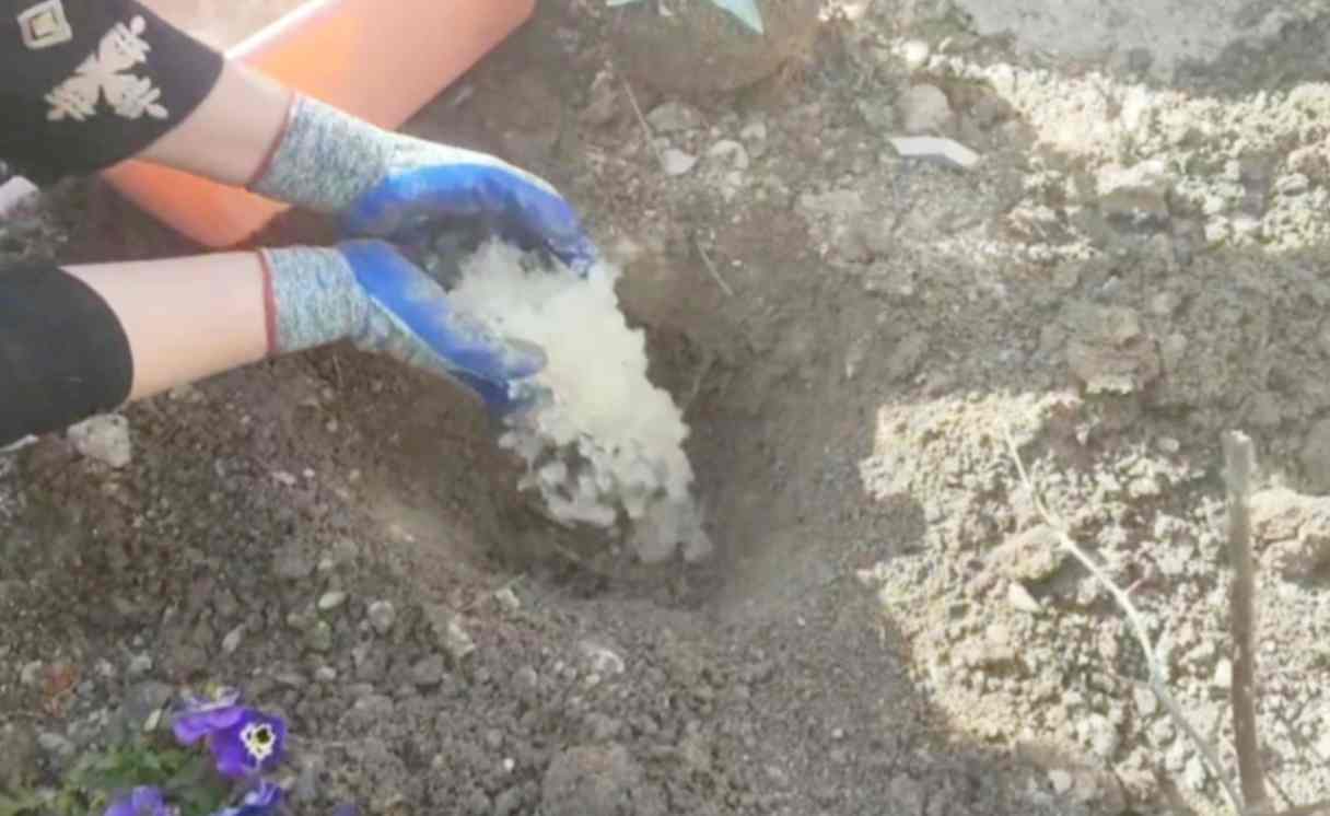 فروش هیدروژل کشاورزی باکیفیت برای حفظ رطوبت خاک 2
