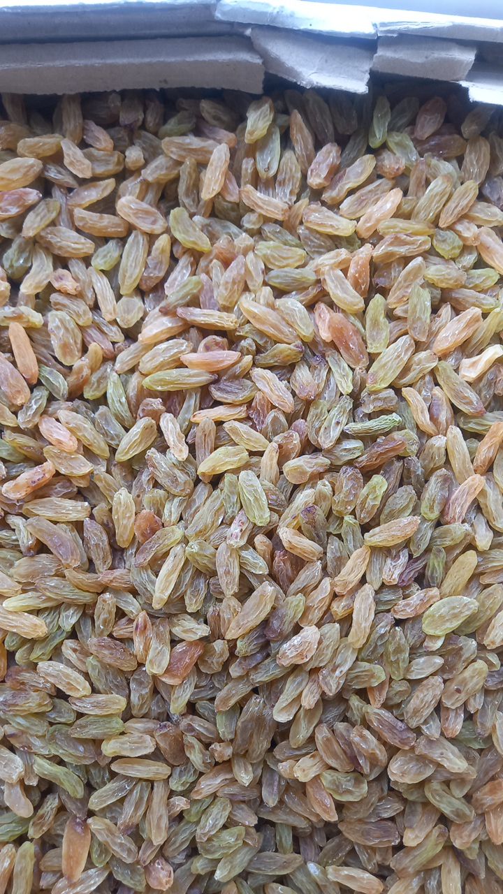 خرید عمده کشمش پاراد + ثبت سفارش 3