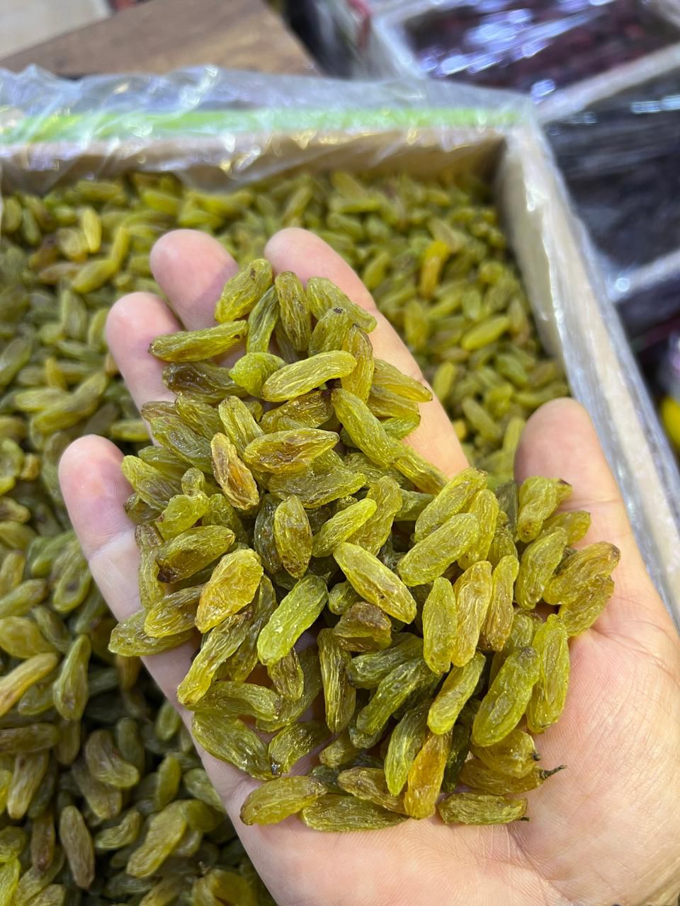 خرید عمده کشمش سبز
