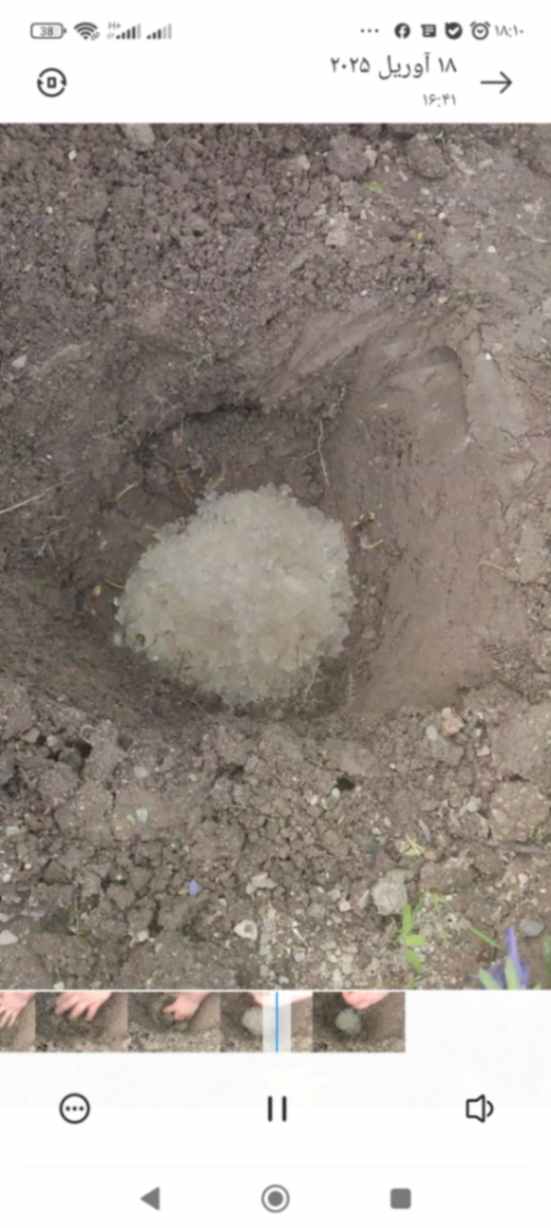 فروش پلیمر جاذب آب برای باغداری، کشاورزی و فضای سبز