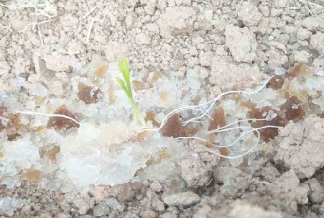 فروش خاک ژلهای برای گلدان، باغچه و فضای سبز