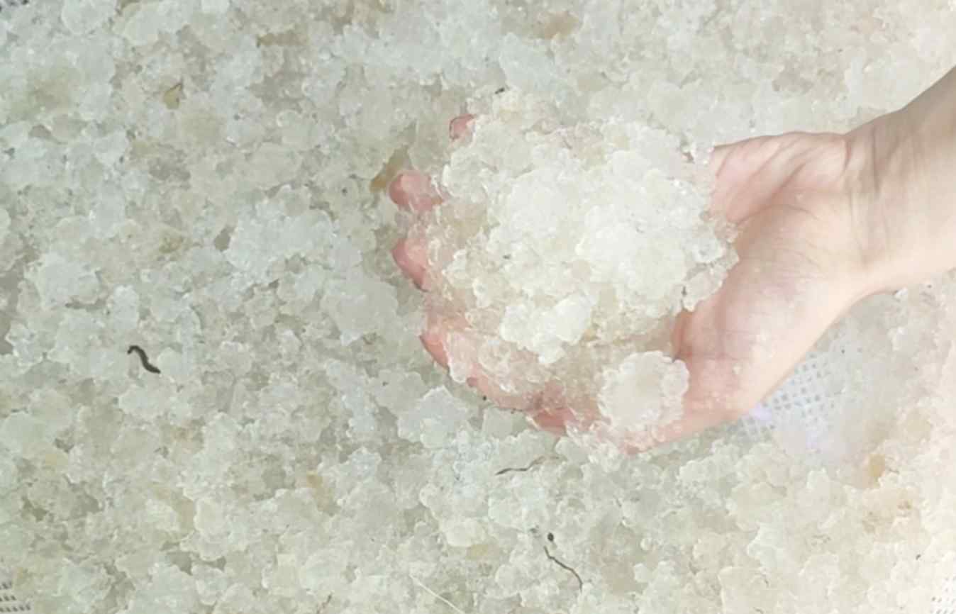 فروش هیدروژل کشاورزی باکیفیت برای حفظ رطوبت خاک
