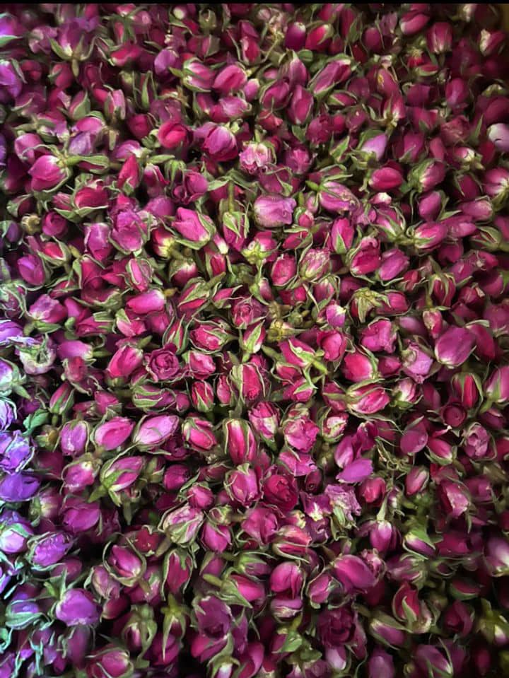 خرید و فروش غنچه گل محمدی خشک